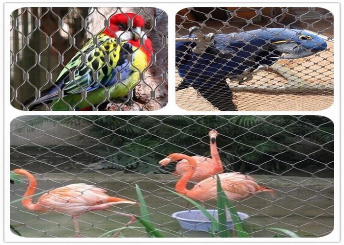 Lightweight Parrot Aviary Mesh Corrosion Resistant Inox Wire Mesh Woven / Ferrule Type